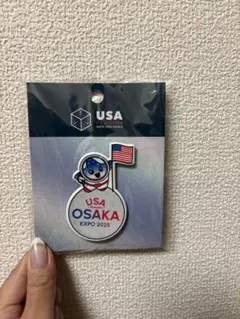 2025年最新】アメリカ館の人気アイテム - メルカリ