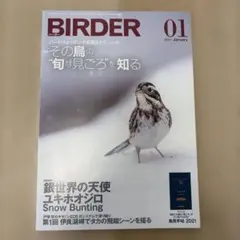 2026年最新】BIRDER 雑誌の人気アイテム - メルカリ