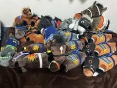 出品準備 サラブレッドコレクション まとめ売り