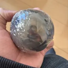 ぷ*。様 ワンピの実　映画シャンクス