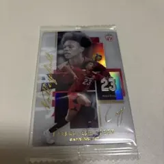 バレーボール日本代表 エバデダンラリー カード