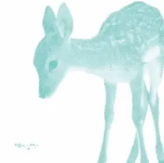 専用
