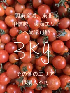 トマト 4kg - メルカリ