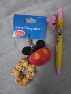 ディズニーランド　ミッキーマウス　ミニーマウス