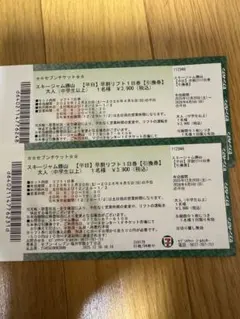 スキージャム勝山 平日1日券 大人用　二枚