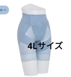 芦屋美整体　シームレス骨盤スリムショーツ　1枚　CY1181