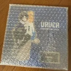 URUCA 誕生日アクリルスタンド　crazy raccoon CR うるか