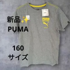 新品✨PUMA プーマ グレー Tシャツ 160サイズ DRY CELL