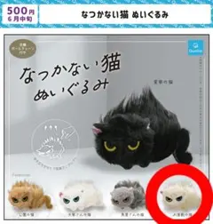 なつかない猫 ぬいぐるみ　ガチャ