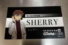 新品　名探偵コナン　コナンカフェ　灰原哀　カード