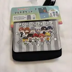 Item thumbnail for item b3f3c5ce-7ff0-4271-9335-51f92d6e0009