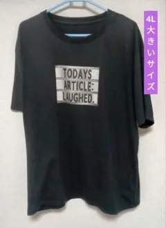 4L 大きいサイズ 男女兼用 黒　Tシャツ ティーシャツ 身長175-185