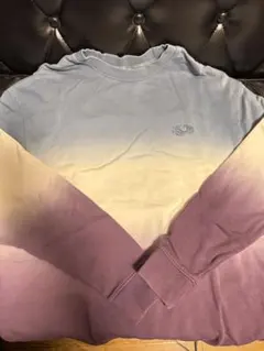 fruit of the LOOM グラデーションスウェット　サイズM