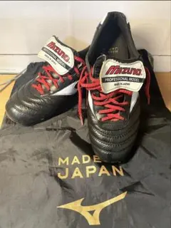 モレリアⅡ JAPAN