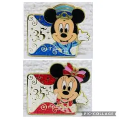 ディズニー35周年記念　ミッキーマウス&ミニーマウスピンバッジ２個セット