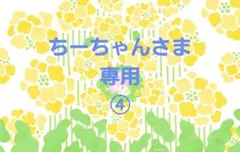 ちーちゃんさま専用