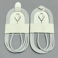 Apple 純正 USB-C充電ケーブル