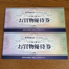 最新】ヤマダ電機 優待 15,000円分 2026年12月末日迄 お買物優待券