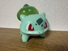 USJ フシギダネ ポケモンコラボ