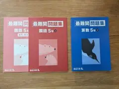 最難関問題　5年生 下 四谷大塚 （算数 国語）