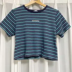 ハニーズ　マルチボーダーTシャツ　ショート丈のサムネイル
