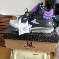 Item thumbnail for item 86965ed3-198c-456a-b127-5ef97099edaa