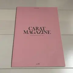 SEVENTEEN セブチ CARAT MAGAZINE Vol.14