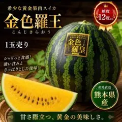 SALE すいか金色羅王 熊本県産 希少な黄金果肉スイカ 1玉　西瓜のサムネイル