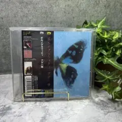 ボルクフライティ アゲハ蝶CD