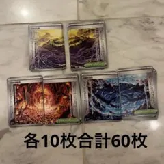 ポケモンカードゲーム 伝説の山頂・溶岩・海溝 各10枚