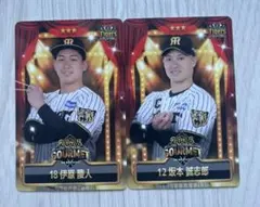 阪神タイガース 選手カードセット