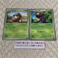 【24356】ポケモンカード　タネボー　コノハナ　XY11 1ED ２枚のサムネイル