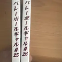 バレーボールギャル #25 #28 2本セット