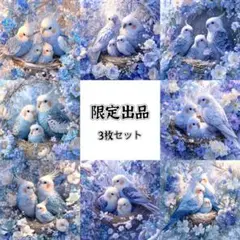 パネル生地　新柄(SY65b) 8柄　3枚セット