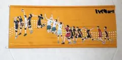 タペストリー　ハイキュー！！