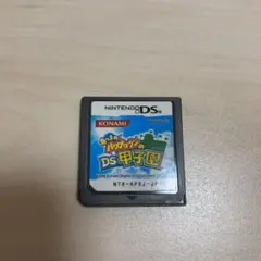 あつまれパワプロクンのDS甲子園