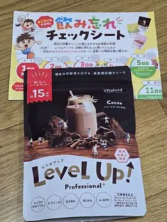 ビタブリッドジャパン レベルアップ プロフェッショナル ココア風味