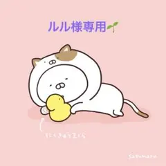 ルル様専用☺︎