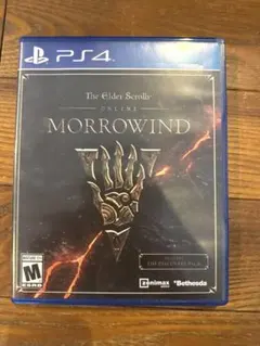 北米版 PS4 MORROWIND