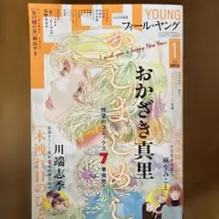 フィールヤング 2025.1