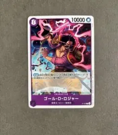 ロジャー　交流会　プロモ