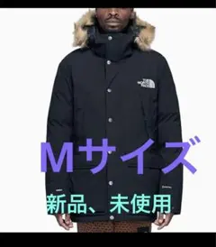THE NORTH FACE Mountain Murdo GTX ブラックM