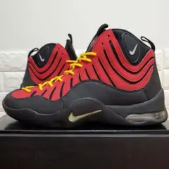 ナイキ　エアベーキン　AIR BAKIN' 当時物　3色セット　新品未使用 NIKE(ナイキ) / NIKE AIR BAKIN/エアベーキン/316383-001