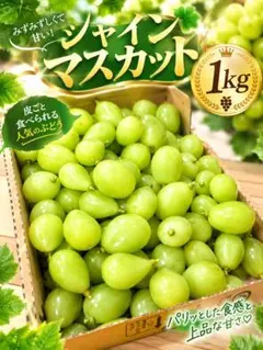 8山梨県 シャインマスカット 粒 2kg - メルカリ