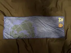 清水エスパルス 応援グッズ