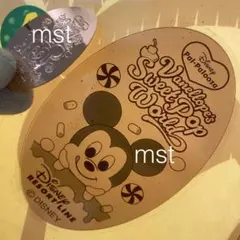 ディズニーリゾート スーベニアメダル パルパルーザ ミッキー