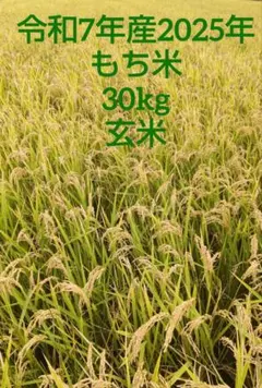 令和7年産 もち米 玄米 30kg - メルカリ
