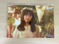 乃木フェス　ミニポスター　岩本蓮加