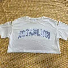 LTXC クロップドTシャツ Mのサムネイル