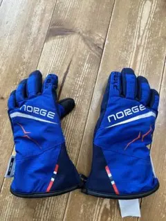 フェニックス　スキーグローブ